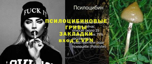 spice Арсеньев