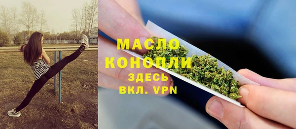 шишки Сатка