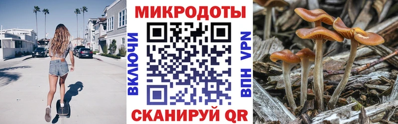 Псилоцибиновые грибы Psilocybine cubensis Аркадак